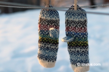 Nicely patterned mittens "Titbirds"