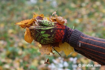 Colourful Mittens with rowan ornament "Quintessence of Fall"