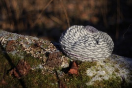 Hand-knitted wool Hat "Speckled"